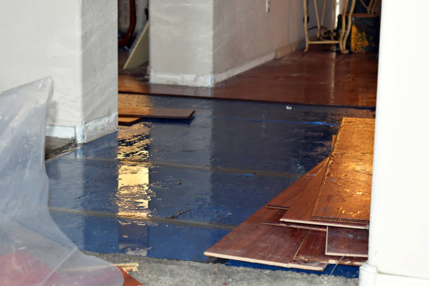 Professional Burst Pipe Cleanup technician working in Luling, TX